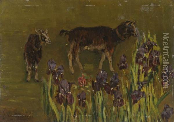 Caprette E Iris Oil Painting - Alceste Campriani