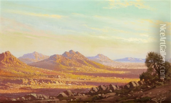 The Karoo Oil Painting - Tinus de Jongh