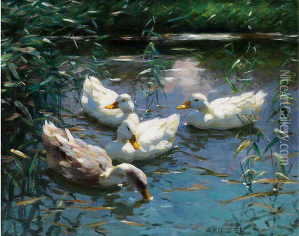 Vier Enten Im Teich Oil Painting - Alexander Max Koester