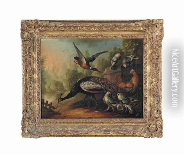 A Peacock, A Duck And Other Birds By Fence, A Pond Beyond Oil Painting - Marmaduke Cradock