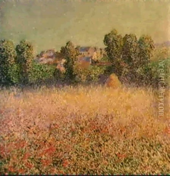 Champ De Cocquelicots En Fleurs Oil Painting - Ferdinand du Puigaudeau
