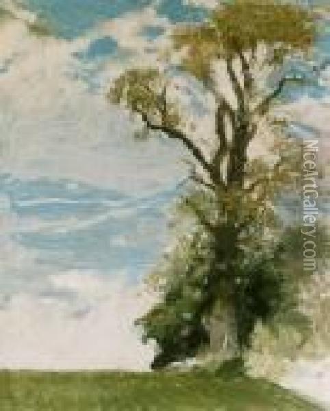 The Old Elm, The Homestead, Blewbury, Berkshire Oil Painting - William Nicholson
