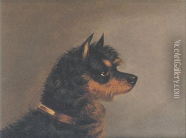 Norwich Terrier Oil Painting - Edwin (of Bath) Loder