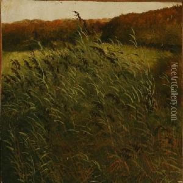 Landscape. Oil Painting - Peter Christian T. Skovgaard