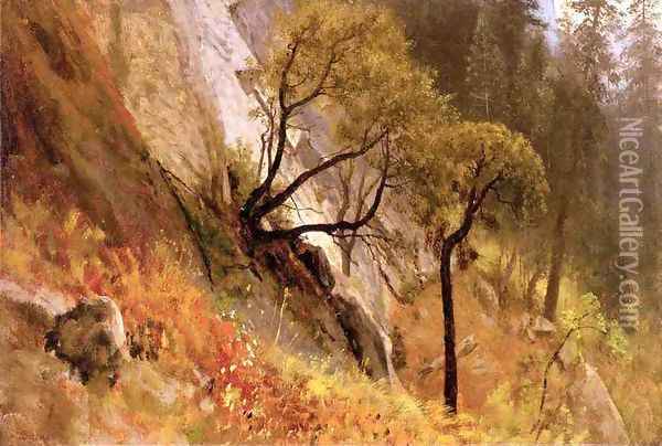 Landscape Study: Yosemite, California Oil Painting - Albert Bierstadt