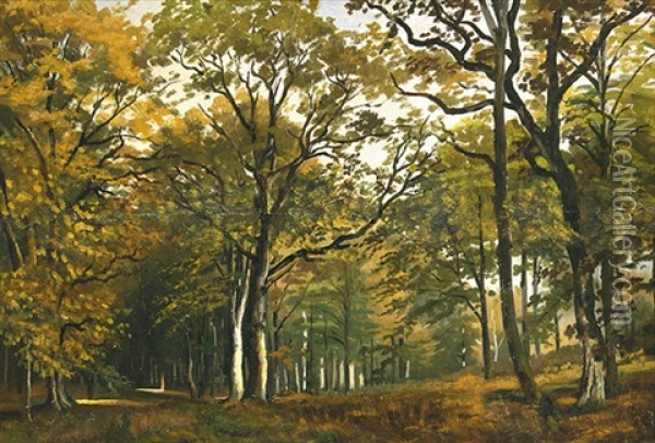 Heidelberger Stadtwald Im Herbst Oil Painting - Max Wolf