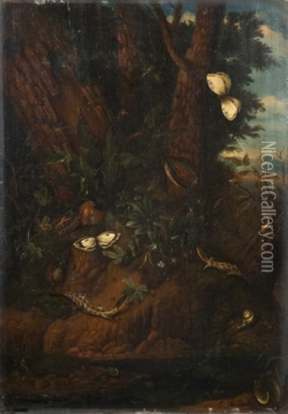 Sous-bois Anime De Lezards, Insectes Et Papillons Oil Painting - Franz Michael Sigmund von Purgau
