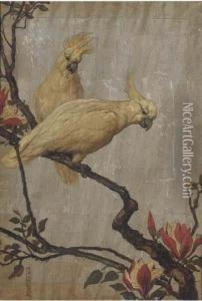 Sulpher-crested Cockatoos Oil Painting - Maud Earl