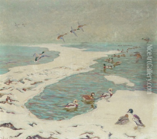 Havlitter Og Aender I Strandkanten, Vinter Oil Painting - William Gislander