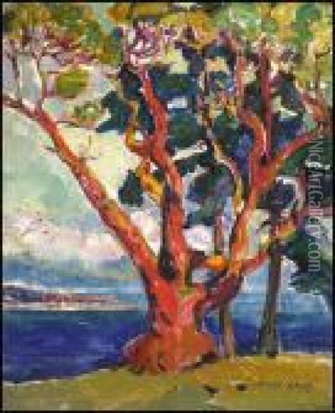 Arbutus Tree (untitled Portrait Verso) Oil Painting - Emily M. Carr