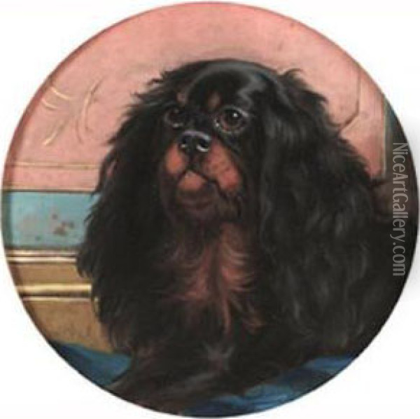A Black And Tan King Charles Spaniel Oil Painting - George Earl