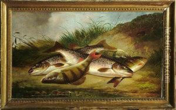 Trout And Perch On A Riverbank Oil Painting - Henry Leonidas Rolfe