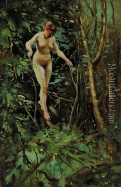 Nudo Femminile Sualbero Oil Painting - Anders Zorn