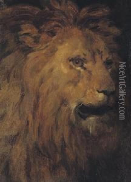 Head Of A Lion In Three-quarter Profile To The Right Oil Painting - Leon Cogniet
