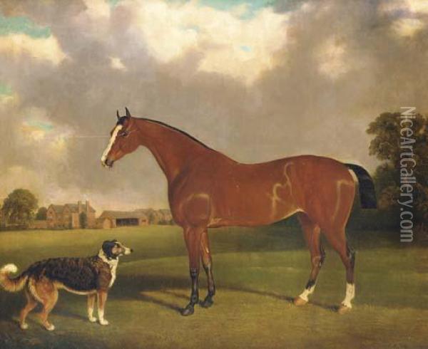 A Bay Horse And A Dog In A Landscape, A Farmyard Beyond Oil Painting - Edwin M. Fox
