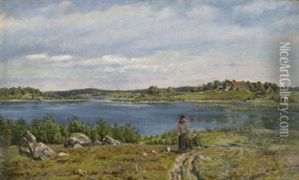 Fra Vandsjo Oil Painting - Jorgen Sorensen