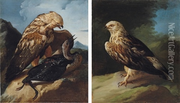 A Buzzard Attacking A Cormorant In A Landscape (+ A Buzzard In A Landscape; Pair) Oil Painting - Giorgio (Count) Durante