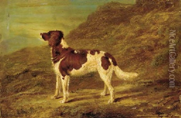 A Gundog In A Landscape Oil Painting - Abel Hold