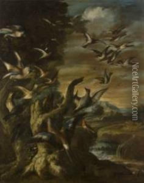 (milano Fine Sec. Xvii-1730 Ca)
 Pernici E Altri Volatili In Un Paesaggio Oil Painting - Angelo Maria Crivelli, Il Crivellone