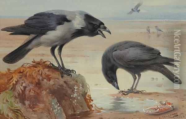 Hooded Crow And Carrion Crow Oil Painting - Archibald Thorburn