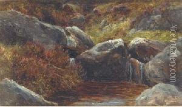 Rocks And Heather Oil Painting - James Jnr Faed