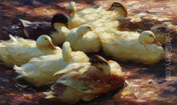 Grose Ruhende Enten Oil Painting - Alexander Max Koester