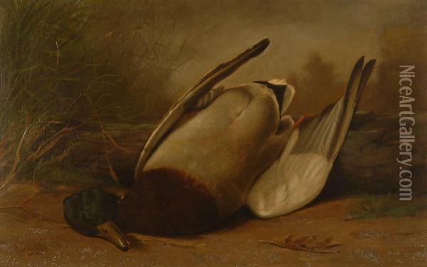 Still Life With Dead Mallard Oil Painting - George Harvey