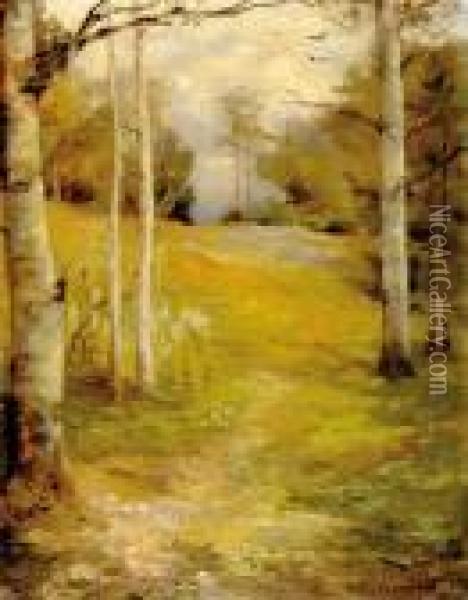 Birch Along Oil Painting - Hector Chalmers