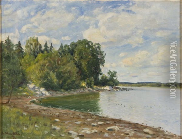 Shore Oil Painting - Elias Muukka