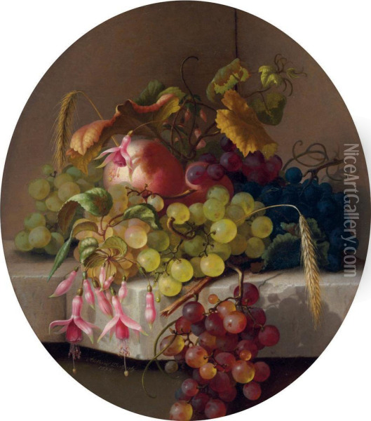 Still Life With Fruit Oil Painting - Adelheid Dietrich