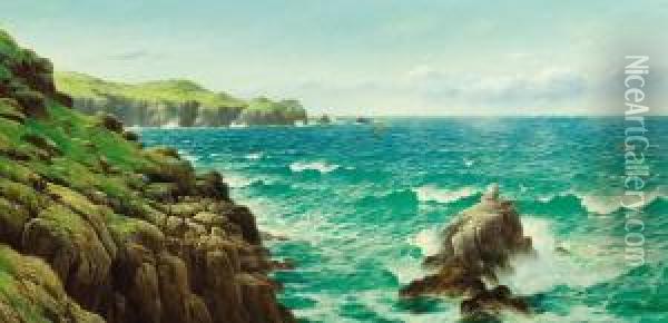 Sea Cliffs Oil Painting - David James