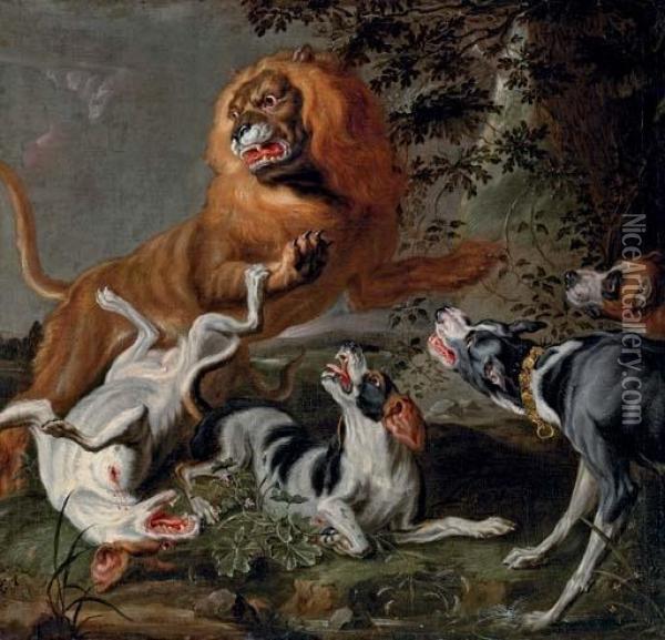 A Lion Attacked By A Pack Of Hounds In A Wooded Landscape Oil Painting - Jan Fyt