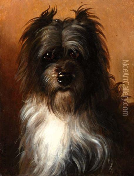 Terrier Oil Painting - Bernard te Gempt