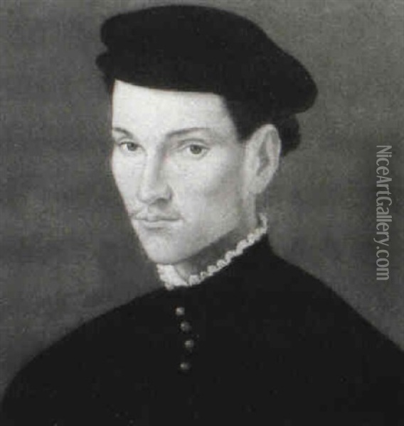 Portrait Of A Young Gentleman With A Black Cap Oil Painting - Francesco del Rossi (Salviati)