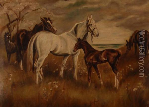 Horses And Foal In A Meadow Oil Painting - Alice Hall
