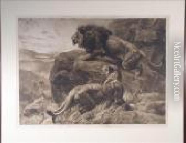 Lion And Lionesson A Rocky Outcrop Oil Painting - Herbert Thomas Dicksee
