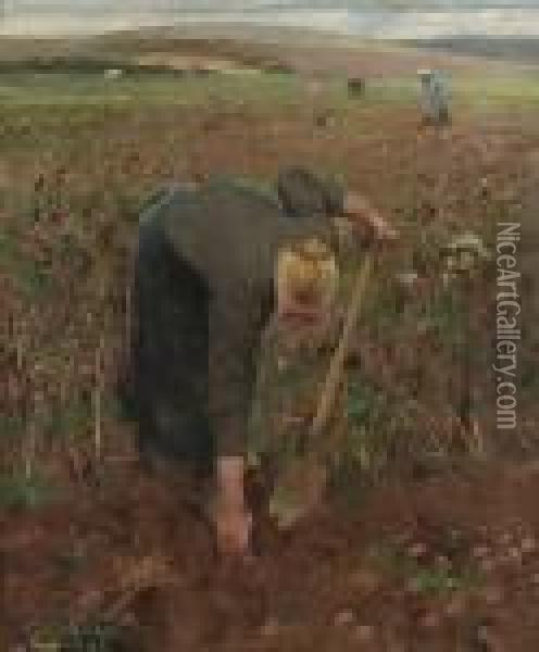 In The Fields, Dannes Pas De Calais (gathering Potatoes) Oil Painting - George Clausen