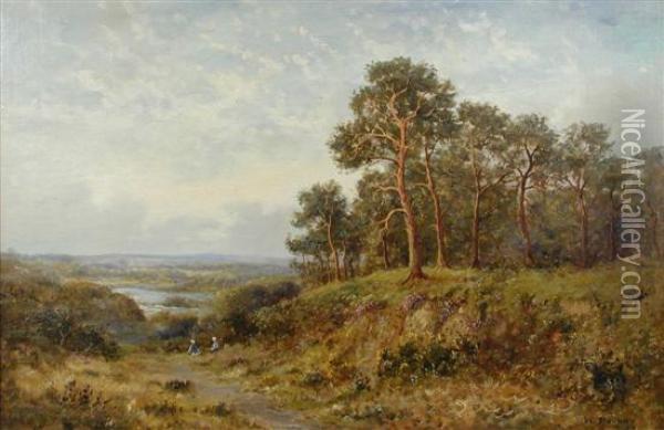 Picnickers In The Ashdown Forest Oil Painting - William Murray Mackenzie