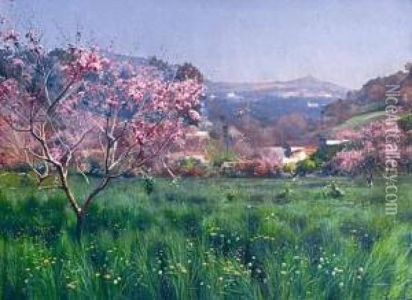 Cerisiers En Fleurs Pres Du Village De Castagniers. Oil Painting - Josif Evstaf'Evic Krackovskij