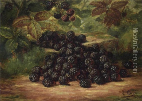 Still Life With Blackberries Oil Painting - August Laux