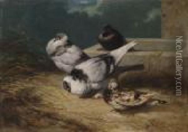 Les Pigeons Oil Painting - Rosa Bonheur