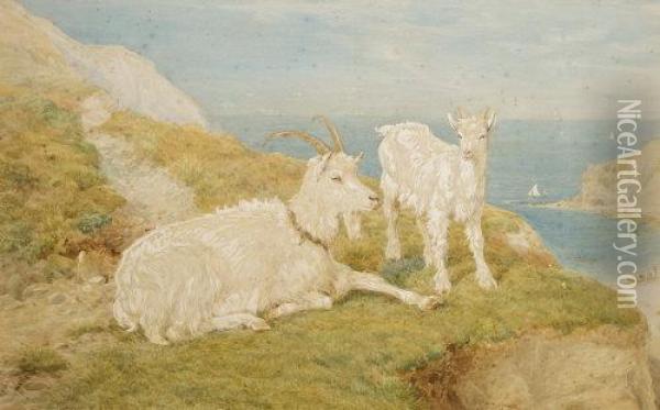 On The Cliffs Oil Painting - Basil Bradley