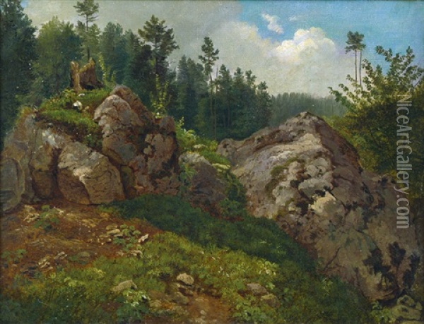 Waldlandschaft Mit Felsblocken Oil Painting - Friedrich Philip Reinhold