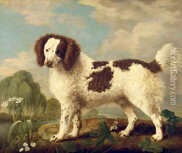 Brown and White Norfolk or Water Spaniel, 1778 Oil Painting - George Stubbs