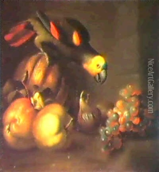 A Still Life With A Parakeet, Apples, Melons, Figs And      Grapes, On A Ledge Oil Painting - Jakob Bogdani