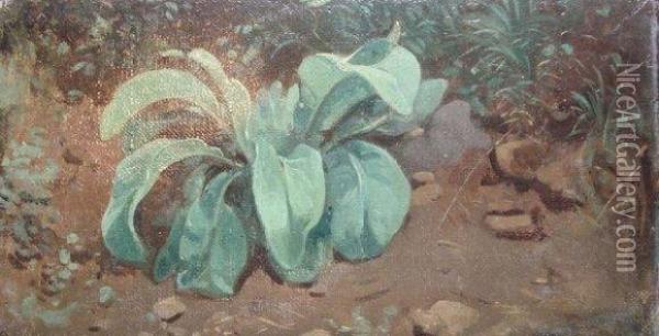 La Plante Oil Painting - Jean-Baptiste-Adolphe Gibert