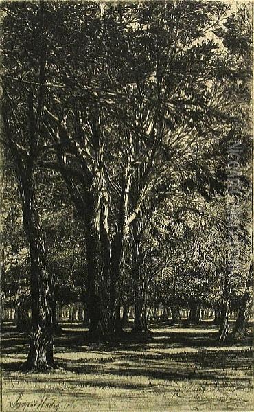 Kensington Garden, No. Ii (large Plate) (h. 28; S. 31), 1860 Oil Painting - Sir Francis Seymour Haden