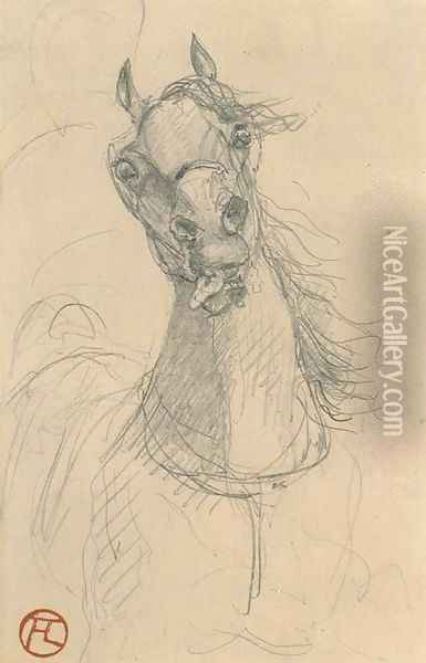 Tete de cheval 2 Oil Painting - Henri De Toulouse-Lautrec
