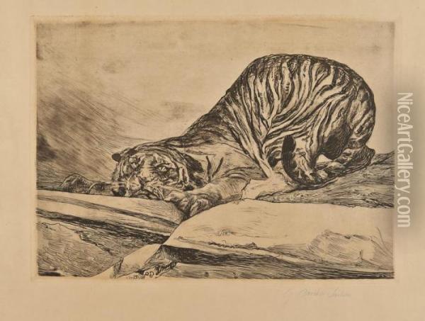 Tigre In Agguato Oil Painting - Giulio Artistide Sartorio