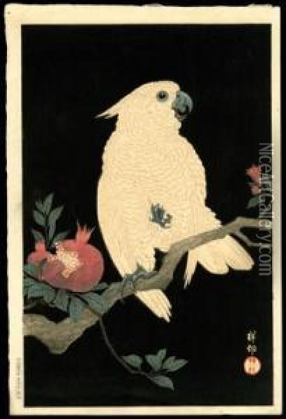Parrot And Pomegranate Oil Painting - Ohara Koson